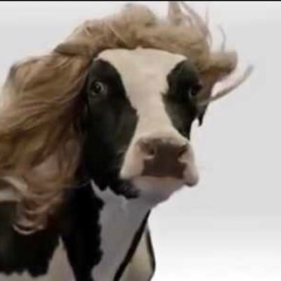 A cow with grace and magnetism. Call me, Madam Cow🐮 cowficial cowsquire for Xenu-Cthulhu moo bitch. This acct is a joke acct (in case it wasn’t obvious)