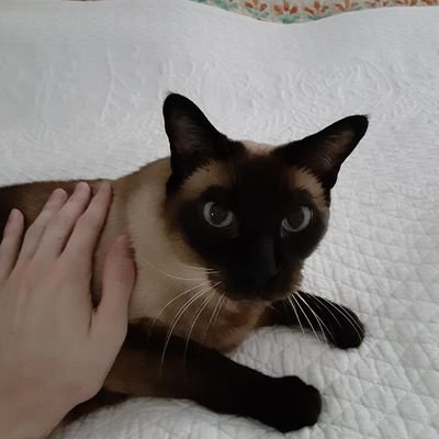 silverfang47's profile picture. Hey