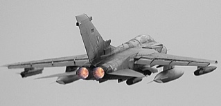 typhoon77718's profile picture. 