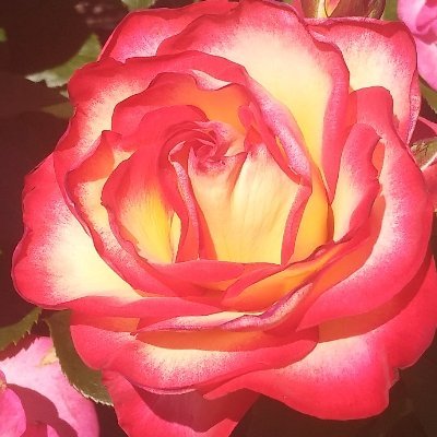 namateo's profile picture. 