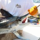 D. Mark Robbins - @ReelinItinCaptn - Twitter