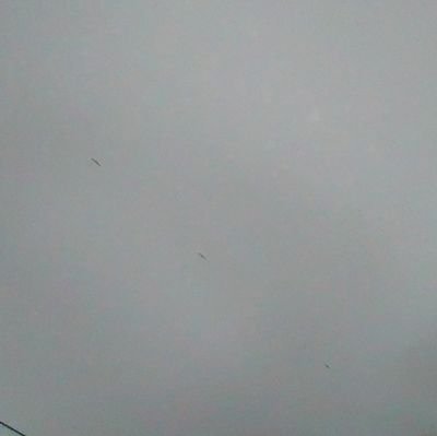 kozy42620897's profile picture. ガテン仕事のチビデブなオッサン。
M気質で妄想族。