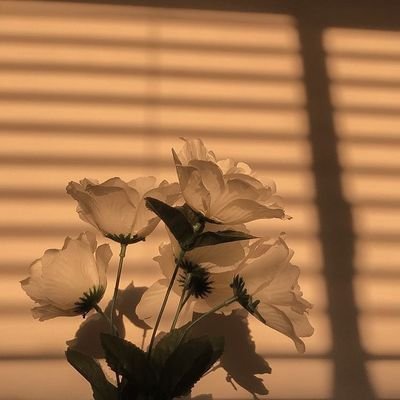 pinksun_____'s profile picture. what are you looking for?