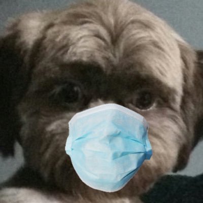 p*rra o Lorran só fala merd*さんのプロフィール画像