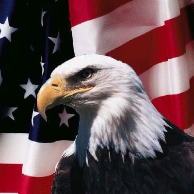 musicthinker13's profile picture. Musician, Realtor, Catholic, Conservative Thinker