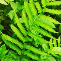 gulam Gulam (@gulamgu25877606) Twitter profile photo