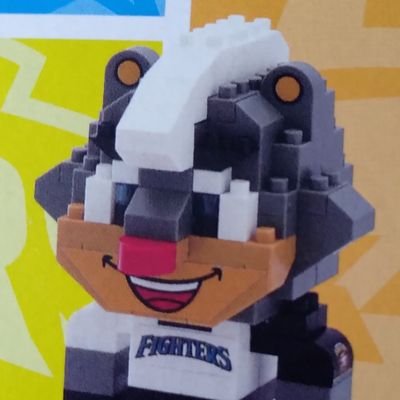 アラフィフ天然オバサン☆道産子🐻転勤族の妻☆関西在住⚾️ファイターズファン🦊 不登校歴あり大学生息子の母👿魔除け:六四天安門