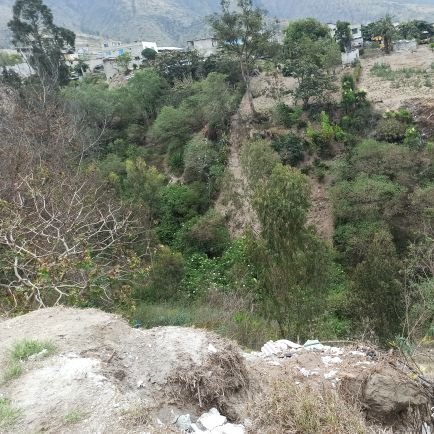 Espacio para cuidado del sistema de Quebradas en Quito