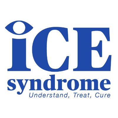 Consortium of researchers, clinicians, and patient advocates working together on Iridocorneal Endothelial (ICE) Syndrome