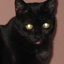 Gail Humphrey - @Gail_Humphrey - Twitter