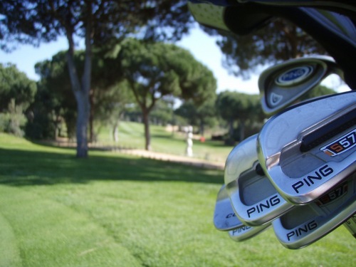 I like watching sports! 
I work in IT and play golf, cycle and surf in my spare time..