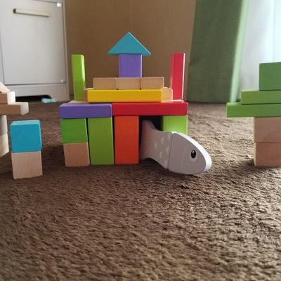 a55415100's profile picture. organic