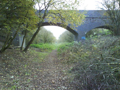 Friendly conservation group working to create a fantastic nature trail in Cawston, Warwickshire.