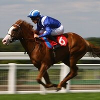 buckster (@bucksheadron) 's Twitter Profile Photo