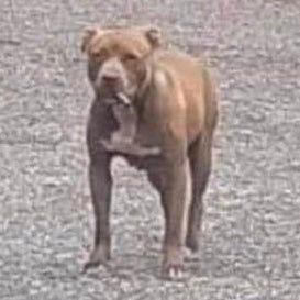 MorganCanfield1's profile picture. 