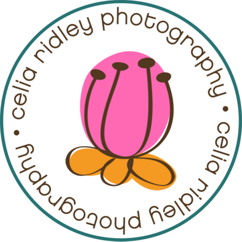 Celia Ridley (@CeliaRidley) | Twitter