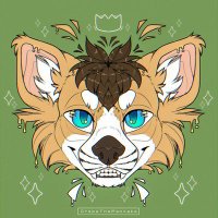 Ari (@ari_the_corg) 's Twitter Profile