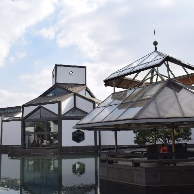 Yibo2957115311's profile picture. 