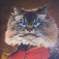 Matt Colville? (@mattcolville) 's Twitter Profile Photo Matt Colville? (@mattcolville) 's Twitter Profile Photo