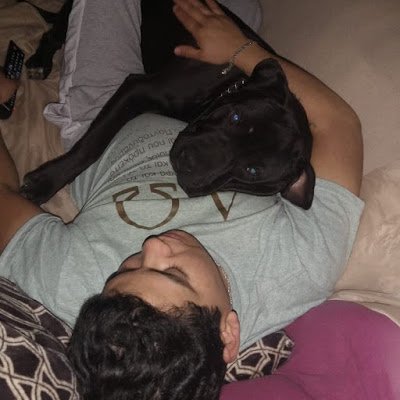 AdanHerreraJim5's profile picture. 