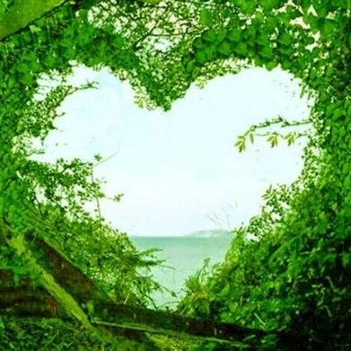 PONWw1YFvDCQzAZ's profile picture. ‏لولا اختلاف الاذواق لبارت السلع