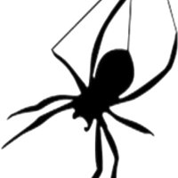 Spider & Silk Supply (@supplysilk) 's Twitter Profile Photo Spider & Silk Supply (@supplysilk) 's Twitter Profile Photo