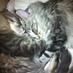 Coen & Co McOon (@coenenco) Twitter profile photo