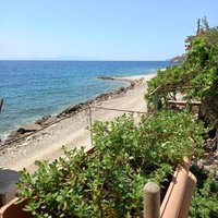 Sema Özsoylu (@ozsoylusema) Twitter profile photo