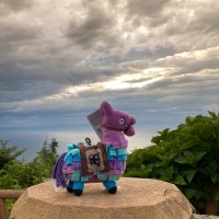 HAMER ハマー🇯🇵 (@hamer700) 's Twitter Profile Photo HAMER ハマー🇯🇵 (@hamer700) 's Twitter Profile Photo