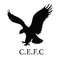 Chester Eagles FC (@chestereagles) 's Twitter Profile Photo