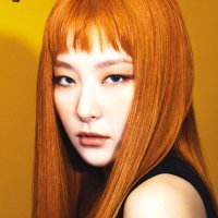 hourly Seulgi (@hourlyseulgi) 's Twitter Profile