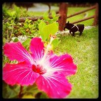 モイ* (@389mckrst) 's Twitter Profile Photo