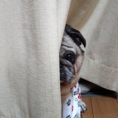 ユカさんのプロフィール画像