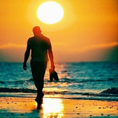 royhandoko18's profile picture. Blogger