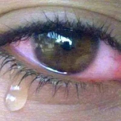 AnanddayalP's profile picture. 