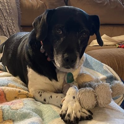 cindy_mckibbin's profile picture. PE/Health teacher at Richmond High school #PhysEd