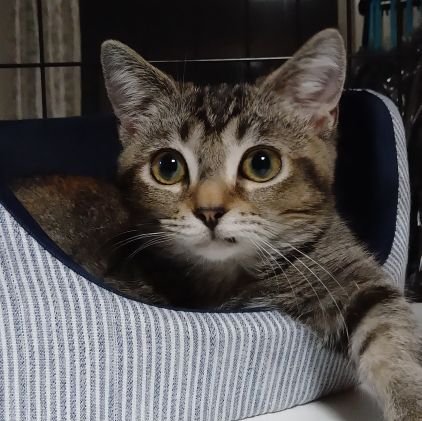 kazuki_09_08_21's profile picture. 購入したゲームやプレイしたゲームをツイート、最近はVITA中心に買い漁ってます。
よろしくおねがいします😀