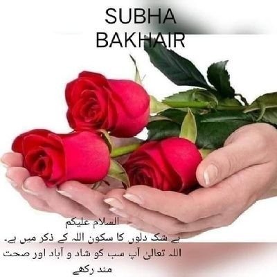 Iqbalka55670928's profile picture. 
