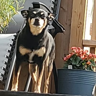 VivettePlasp's profile picture. Workaholic