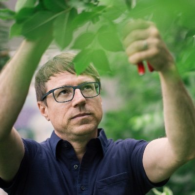 Arborist and founder of https://t.co/y0ibLSwgWd | Cofounder of @spacing | Lots on trees, green cities and bike lanes.