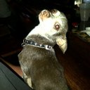 J. Ruben Pope - @JRubenPope - Twitter