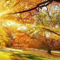 ابو محمد (@kar_313a) 's Twitter Profile Photo