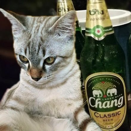 lnwmvr's profile picture. just let it be 🥺