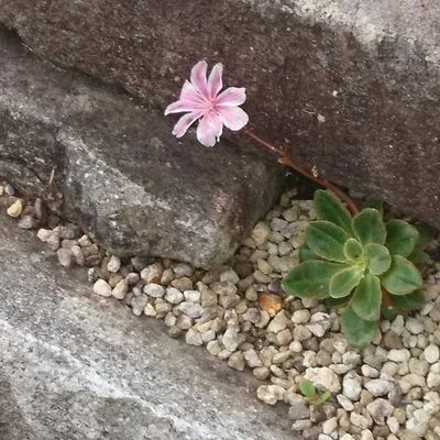 なつこさんのプロフィール画像