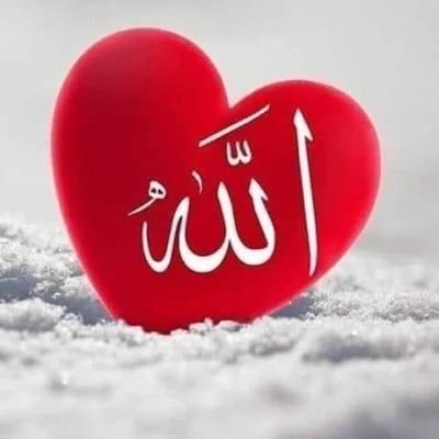 HamidRa70872692's profile picture. ولو تحرك سيف السلام لما قص شعره إلا بإذن الله.