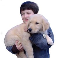 wallows as puppies(@wallowspuppy) 's Twitter Profile Photo