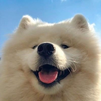 Pokpaek_hope's profile picture. It not easy.