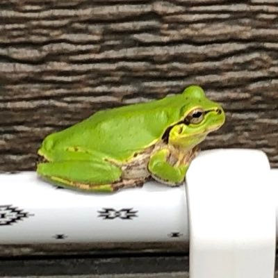 0S11kw7cf9Ycpp5's profile picture. 