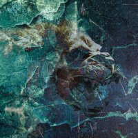 Bleed Again (@bleedagainuk) 's Twitter Profile