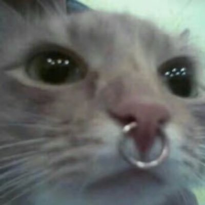 bbyaさんのプロフィール画像